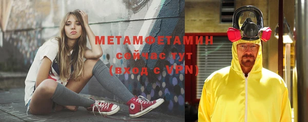 индика Балахна