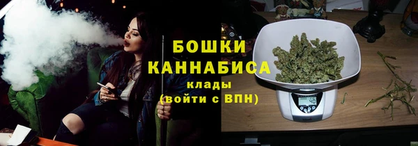 индика Балахна