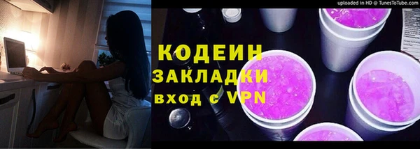 индика Балахна