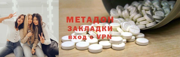 прущие грибы Балабаново