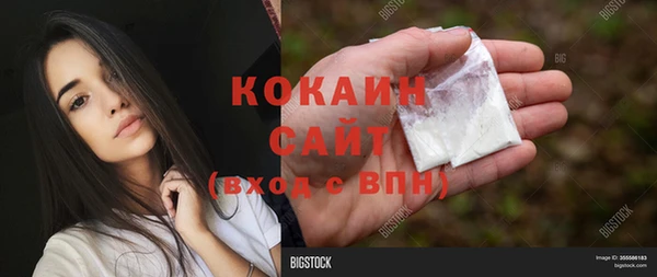 прущие грибы Балабаново