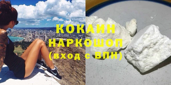 прущие грибы Балабаново