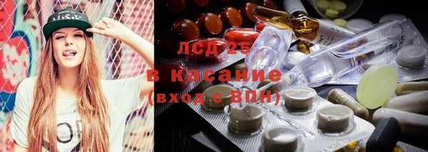 прущие грибы Балабаново