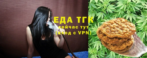 индика Балахна