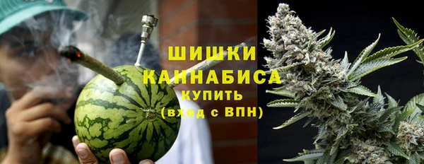 прущие грибы Балабаново