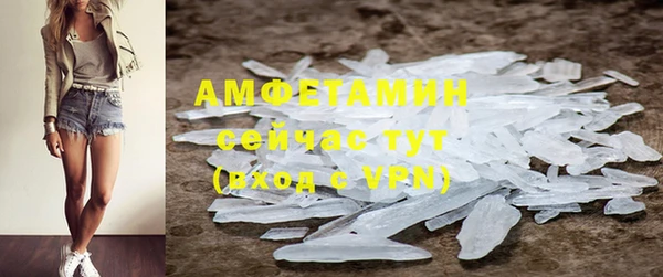 индика Балахна