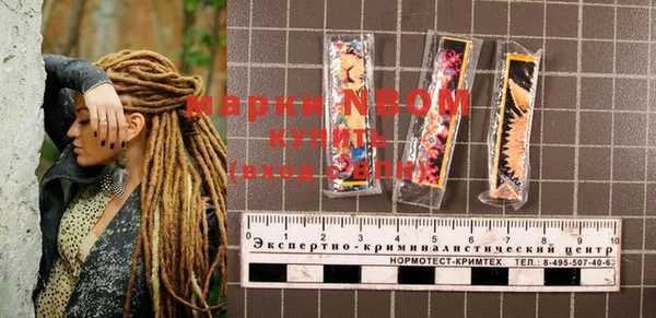 прущие грибы Балабаново