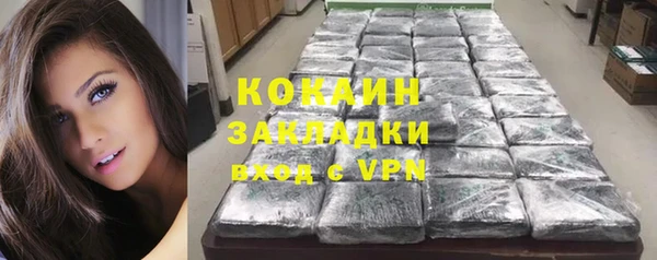 прущие грибы Балабаново