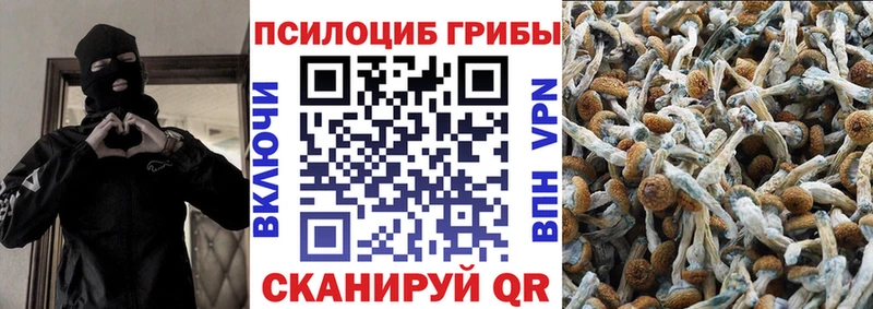 Галлюциногенные грибы Magic Shrooms  наркота  блэк спрут tor  Георгиевск 